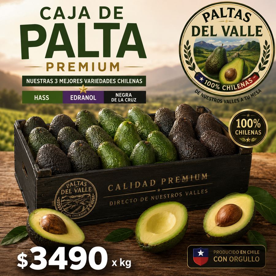 Caja premium de paltas chilenas
