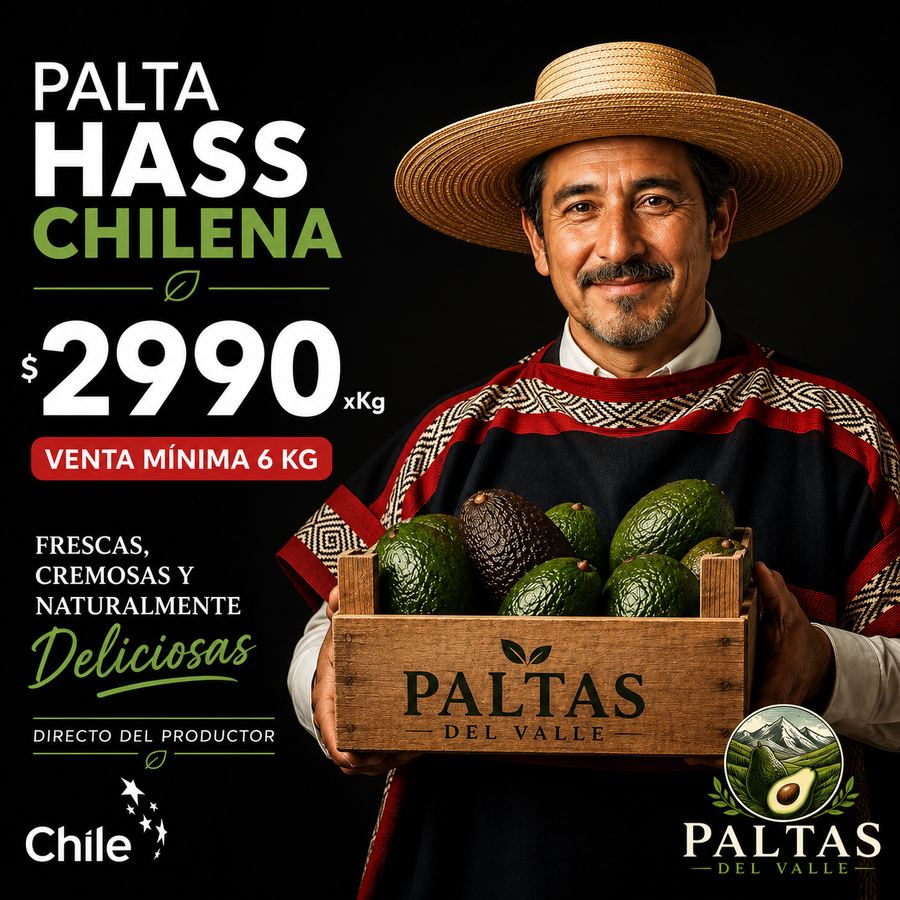 Palta Hass chilena